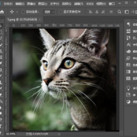 ps怎么给眼睛添加美瞳效果 5分钟教你用PS给眼睛带美瞳